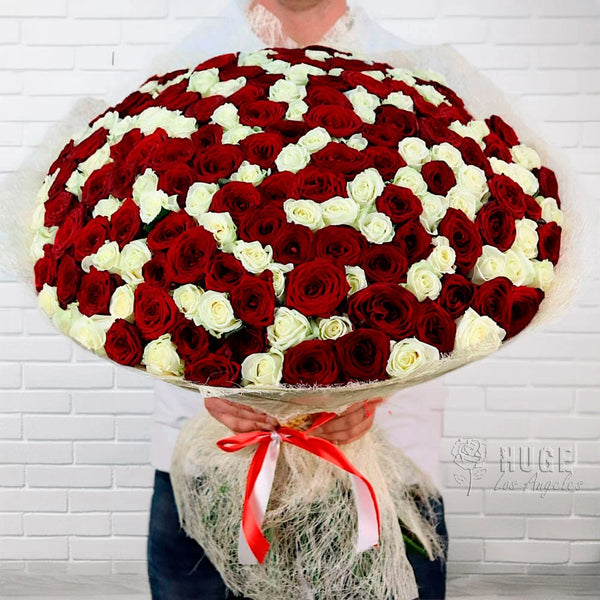 200 Red & White Roses "PassionBound"