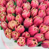 Pink Radiance: 100 Tulips in a Box