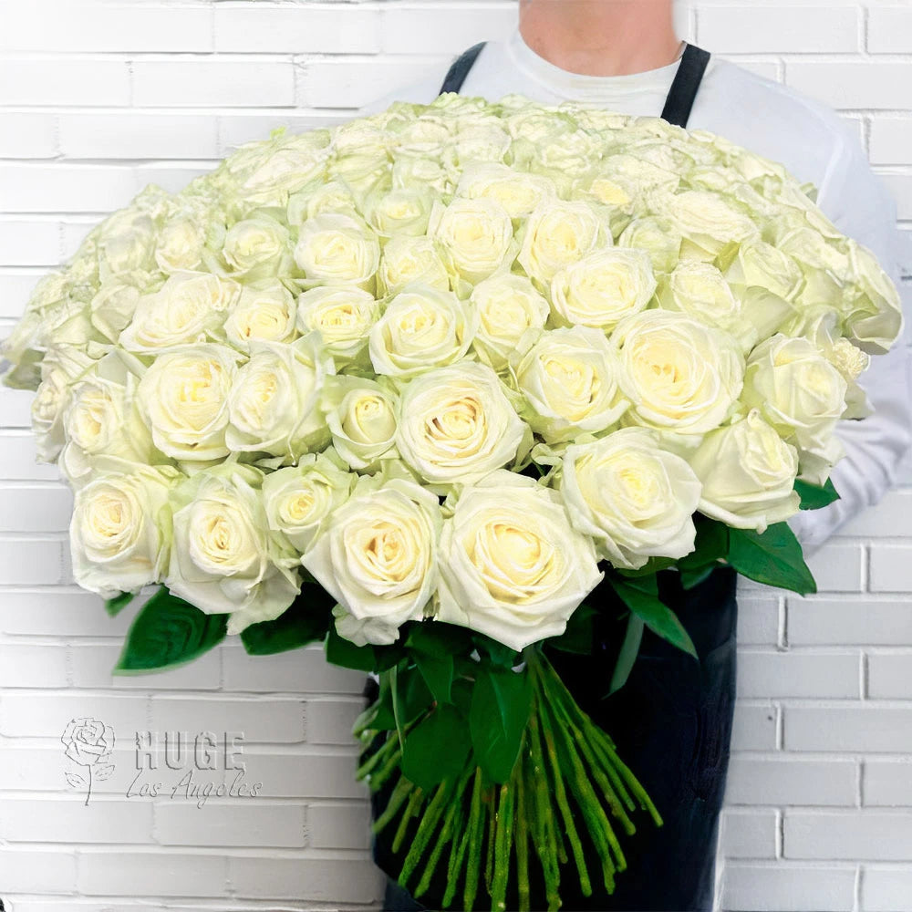Buy 100 White Roses "Pure Harmony" Bouquet