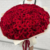 Bouquet of 200 Red Roses "Crimson Embrace"