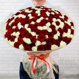 200 Red & White Roses "PassionBound"