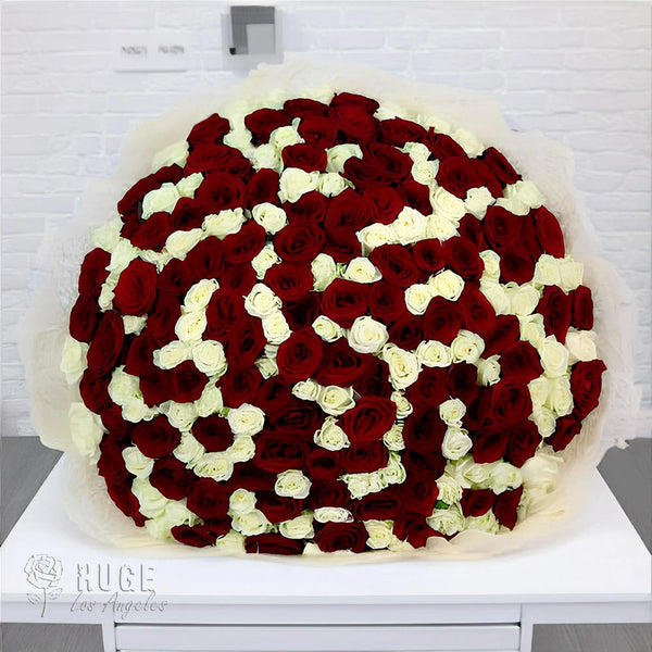 200 Red & White Roses "PassionBound"