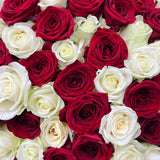 300 Roses Long Stem Bouquet | Select Color