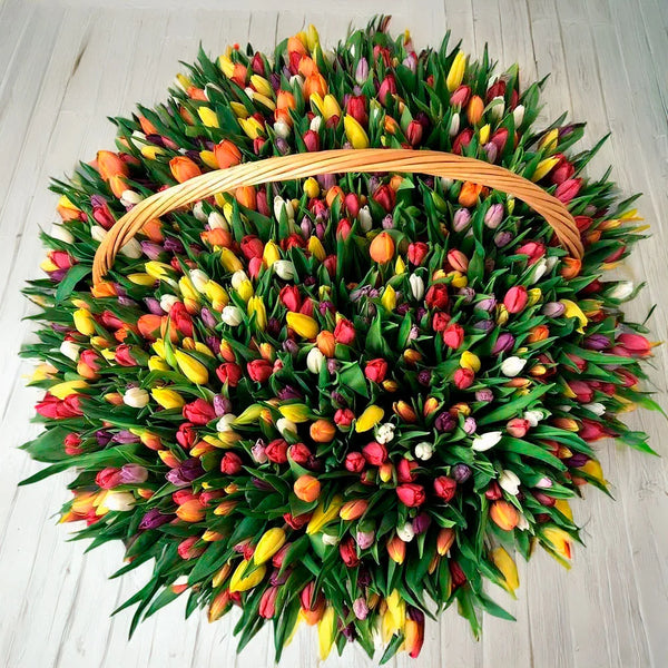 Basket With 1000 Tulips