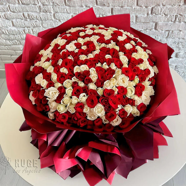 500 Red & White Rose Elegance