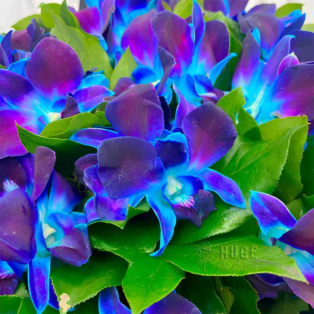 Mystical Blue Orchid Bouquet