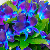 Mystical Blue Orchid Bouquet