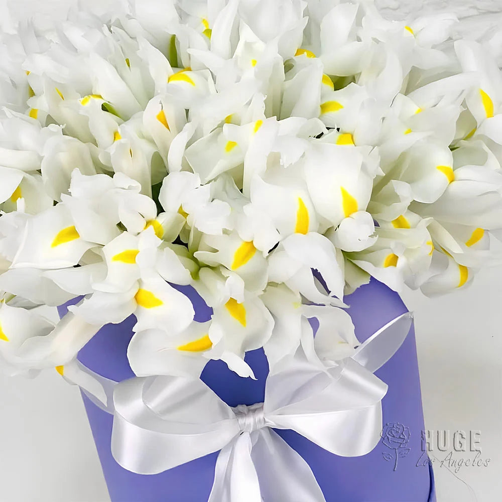 Serene Iris Elegance Box