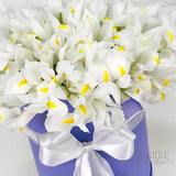 Serene Iris Elegance Box