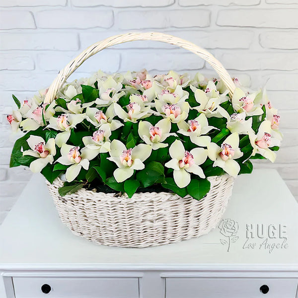 Tranquil White Orchid Basket