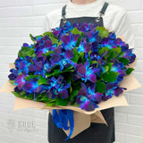 Mystical Blue Orchid Bouquet