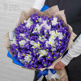 Iris Harmony Bouquet