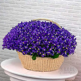 Lavender Iris Dream Basket