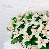 Tranquil White Orchid Basket