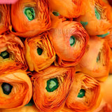 Elegant Ranunculus Bouquet