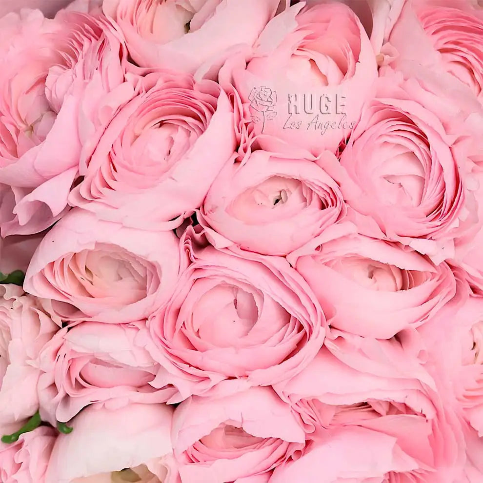 Elegant Ranunculus Bouquet