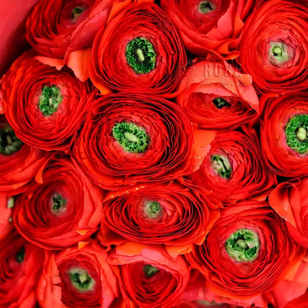 Elegant Ranunculus Bouquet