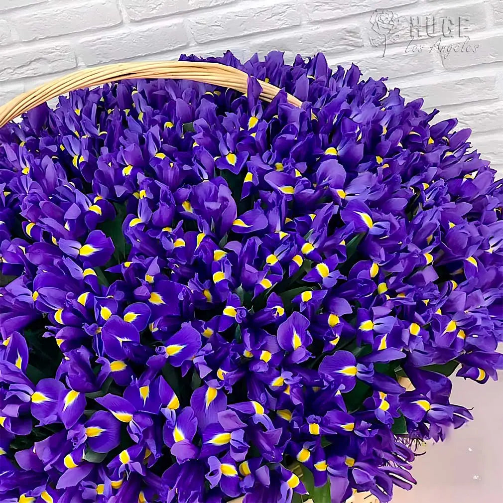 Lavender Iris Dream Basket