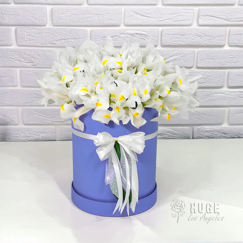 Serene Iris Elegance Box