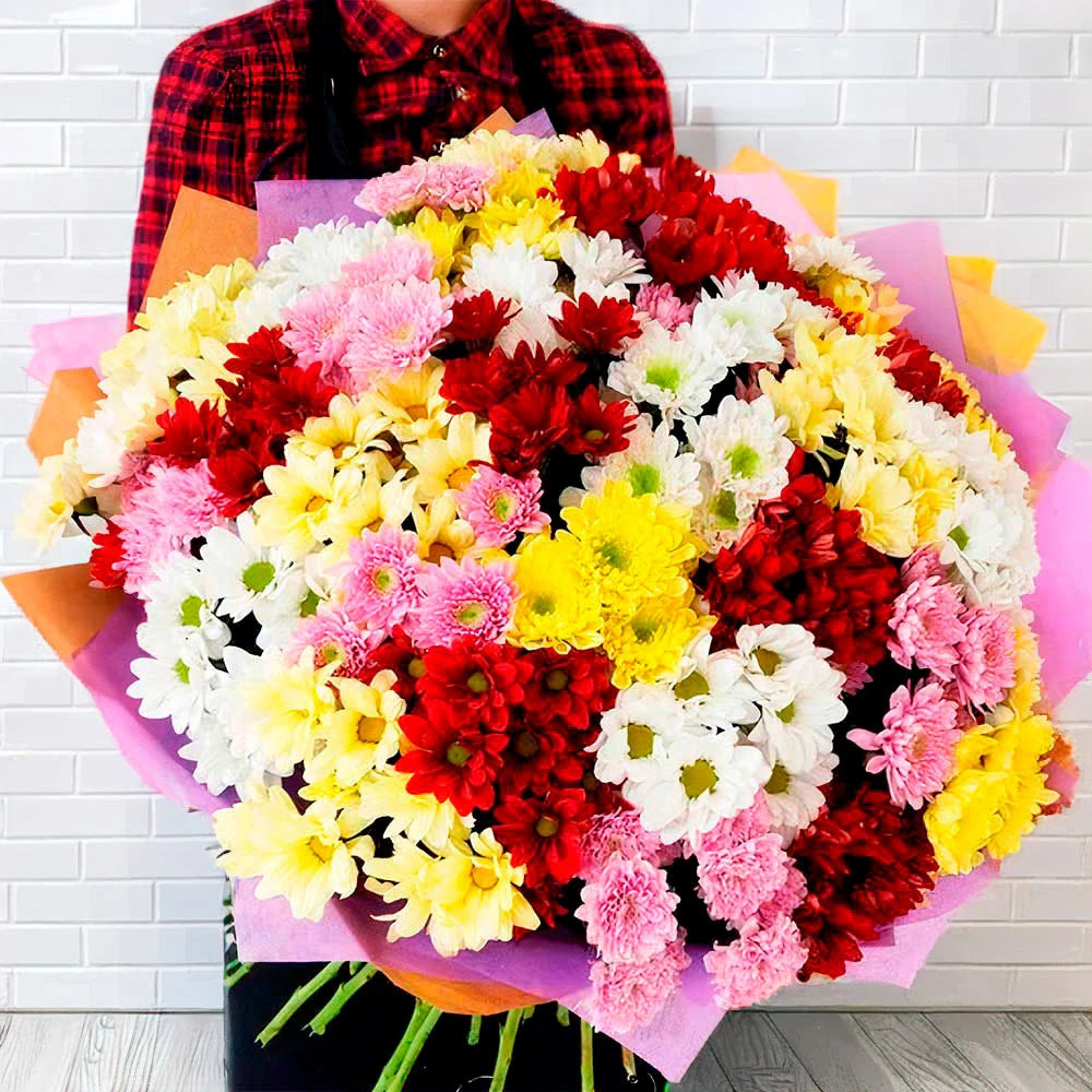 Kaleidoscope of Chrysanthemums