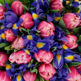 Spring Elegance Tulip and Iris Bouquet