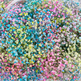 Baby's Breath Basket (Color Optional)
