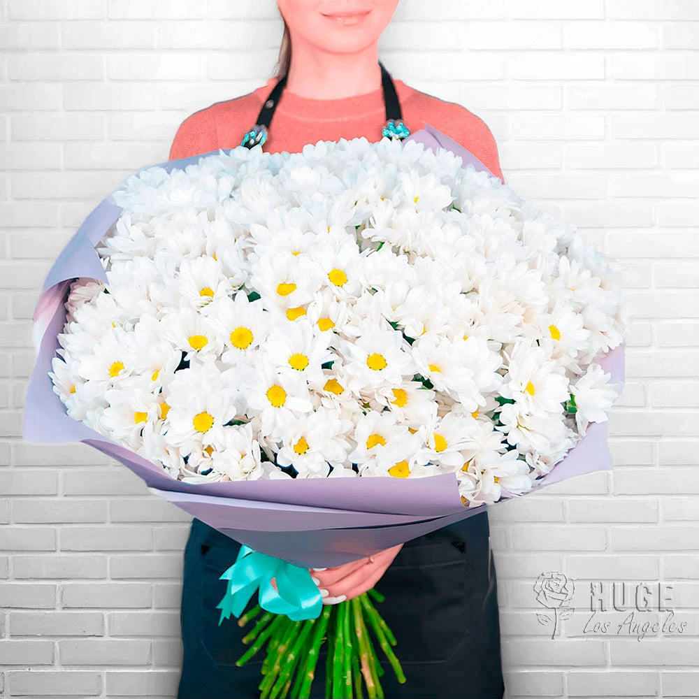 Person holding a large bouquet of white daisy chrysanthemums wrapped in purple paper
