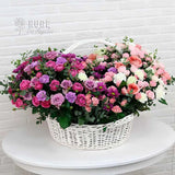 Garden Bliss Floral Basket