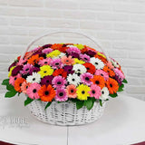 Vibrant Gerbera Basket