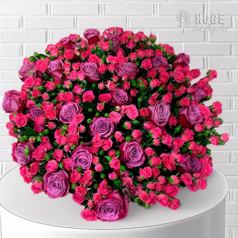 Mixed Roses | Purple Passion