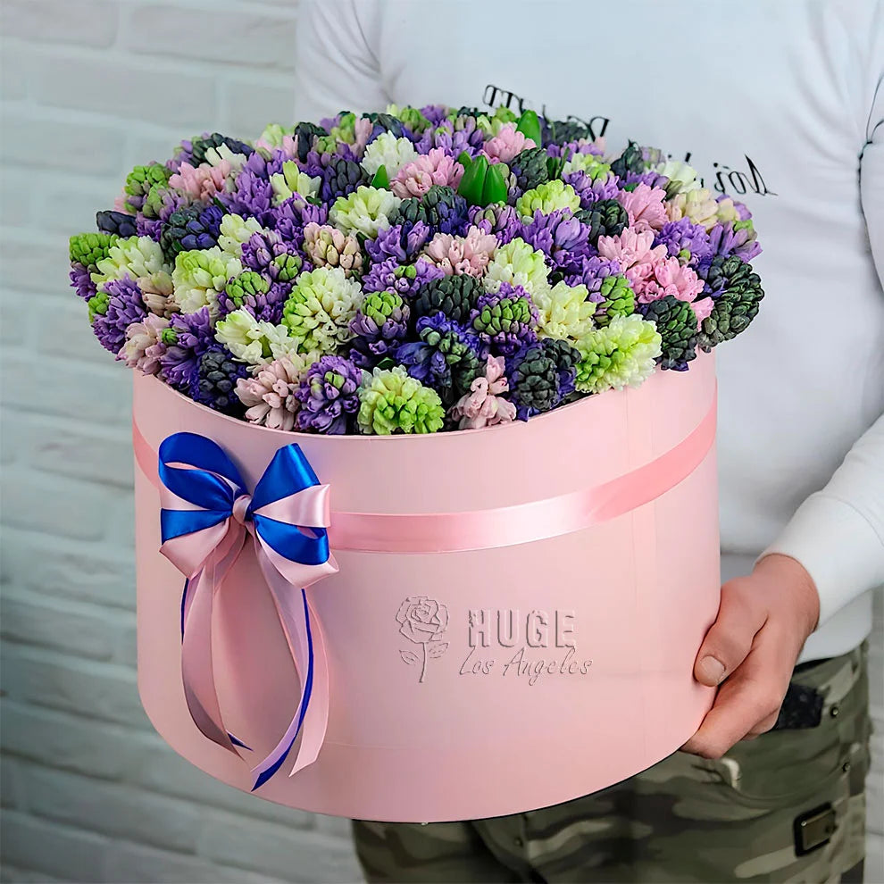 Pastel Hyacinth Box