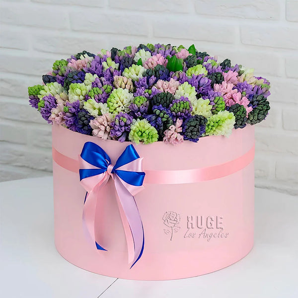 Pastel Hyacinth Box