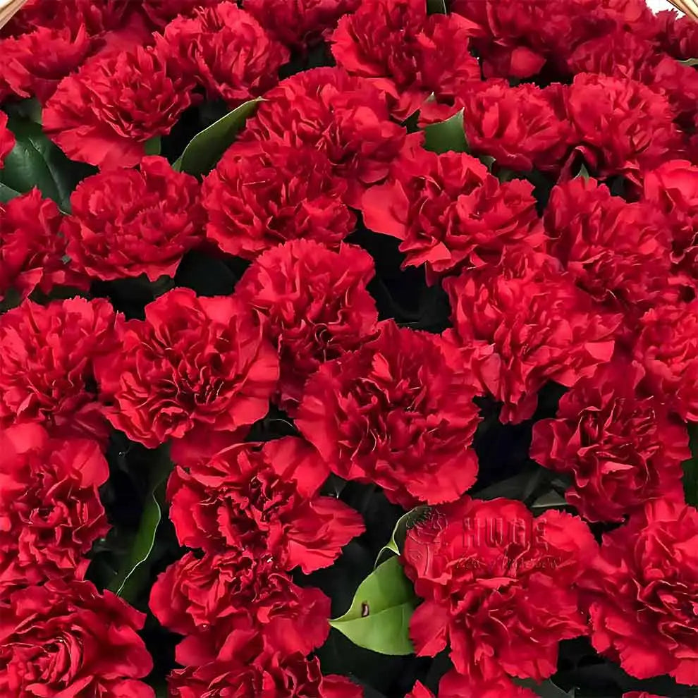 Elegant Carnation Basket (Color Optional)