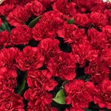 Elegant Carnation Basket (Color Optional)