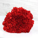 Elegant Carnation Bouquet (Color Optional)