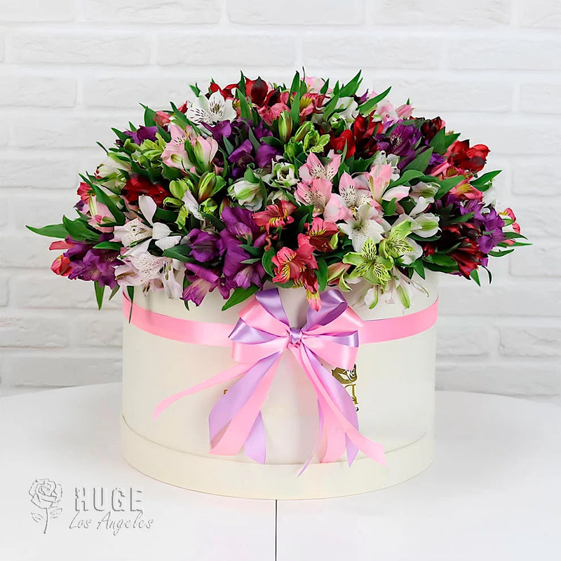 Alstroemeria Celebration Box