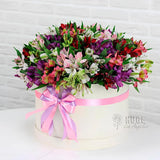 Alstroemeria Celebration Box