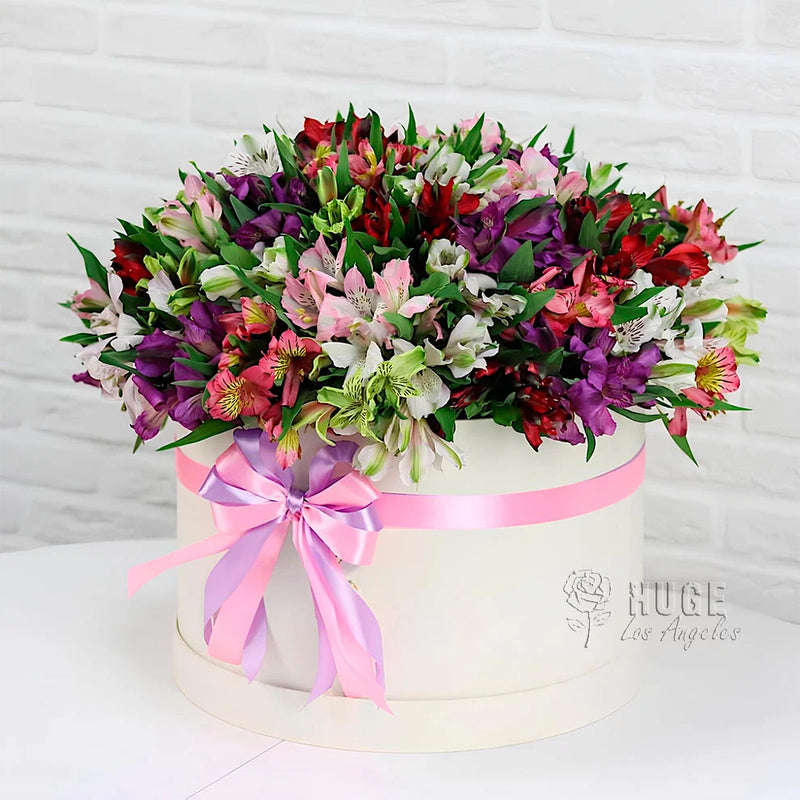 Alstroemeria Celebration Box