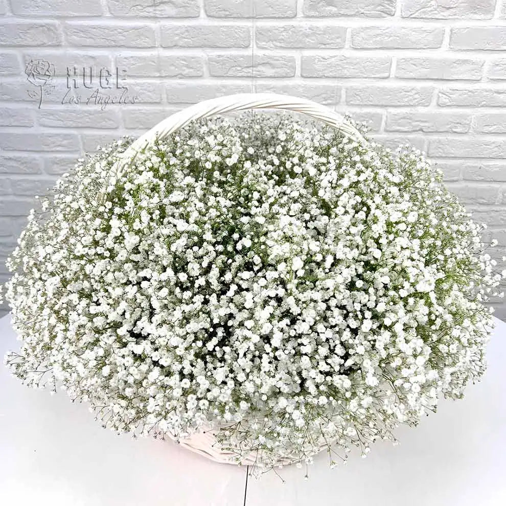 Baby's Breath Basket (Color Optional)