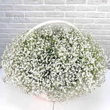 Baby's Breath Basket (Color Optional)