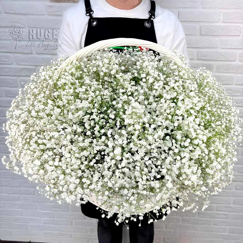 Baby's Breath Basket (Color Optional)